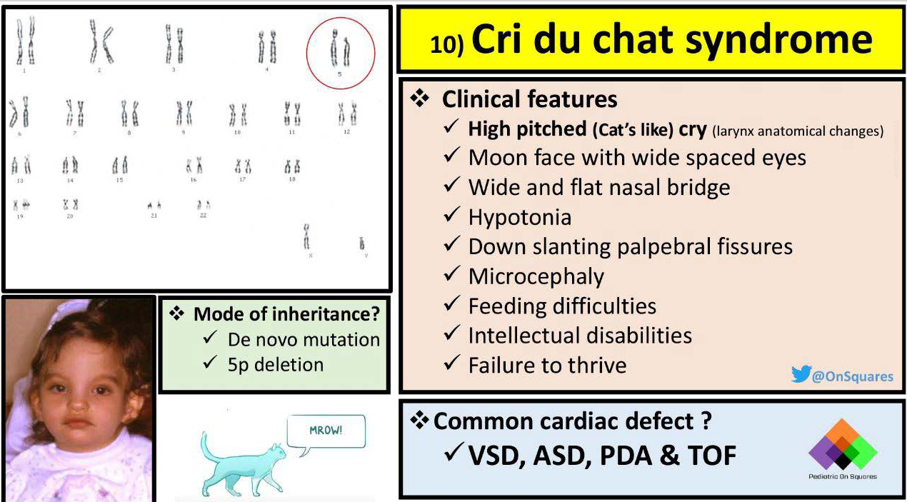 Síndromes genéticos pediátricos Neuropediatoolkit