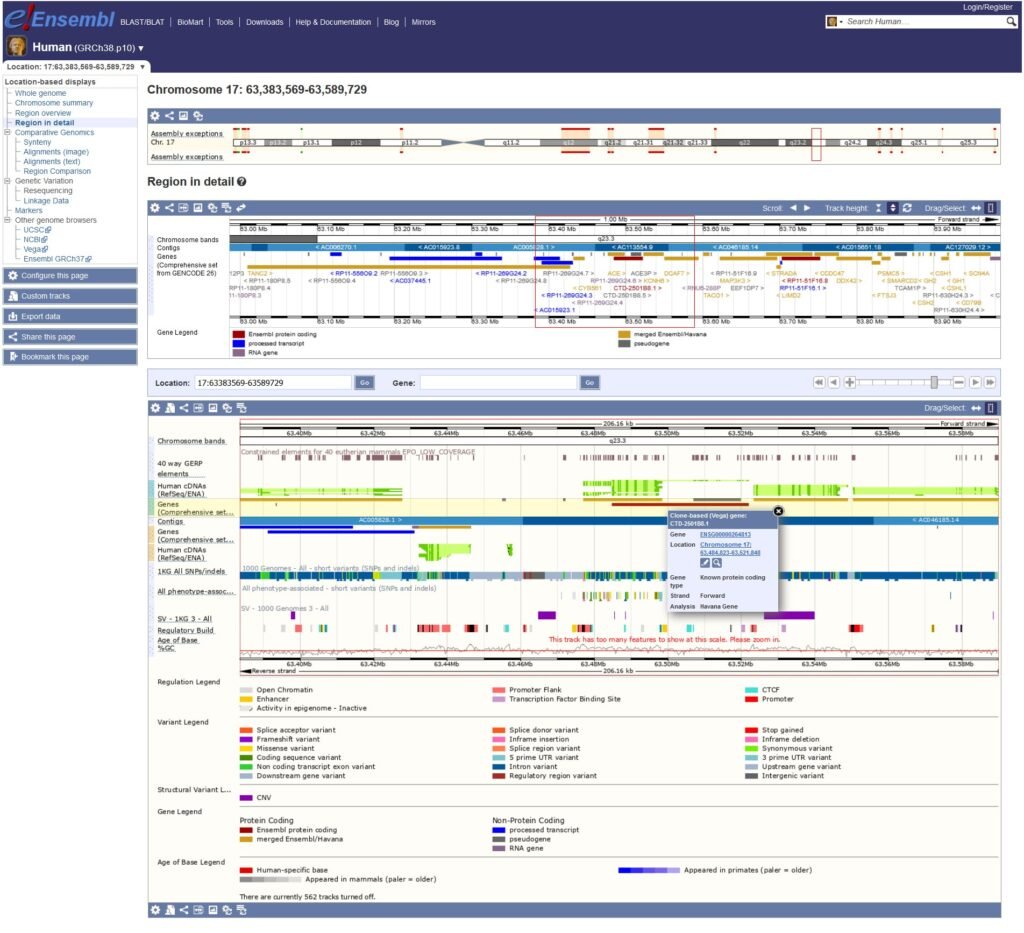 UCSC Genome Browser.